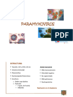 Paramyxovirus