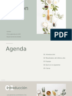 Presentación Minimalista Con Colores