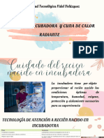 Cuidadoselreciennacidoenincubadora-231017040002-F6071963.pdf 20240909 211722 0000