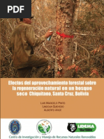 Efectos Del Aprovechamiento Forestal en Un Bosque Chiquitano - Pinto, Quevedo, Arce. 2011