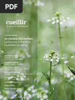 Cueillir, Nourir, Soigner 03.2023 Le Chemin Des Herbes