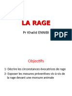 La Rage