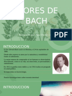 Presentacion Flores de Bach