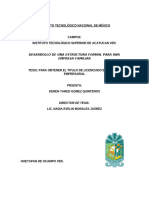 Desarrollo de Una Estructura Formal para Una Empresa Familiar Keren