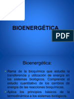 Bioenergetica