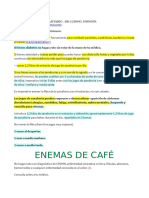 Tratamiento Antiparasitario Zanahoria y Café