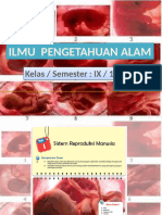 Bab 1 Sistem Reproduksi Manusia