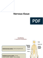 Nervous Tissue