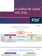 Guía de Análisis de Causas