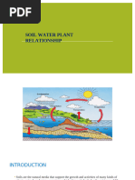 Soil Plant Water