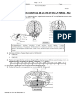 devoir  n°1 TL2