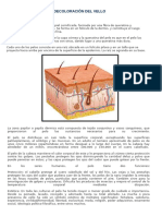 Depilación Mecánica y Decoloración Del Vello