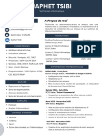 CV IT Maj PDF