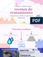 Proceso de Tratamiento