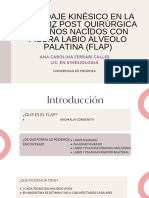 Abordaje Kinesico en La Cicatriz Post Quirurgica de Niños Nacidos Con Fisur - 20240217 - 121553 - 0000