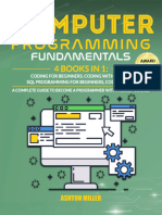 Computer Programming Fundamentals (2024)