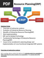 ERP in Detail