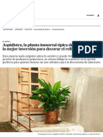 Aspidistra, La Planta Inmortal Típica de Las Abuelas y La Mejor Inversión para Decorar El Rellano - Estilo de Vida - EL PAÍS