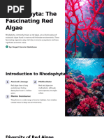 Rhodophyta The Fascinating Red Algae