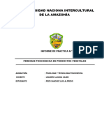 Informe de Practica 2 Poscosecha - Luchito