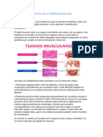 PRATICA NO. 6 Lab. Histo