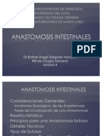 Anastomosis Intestinales