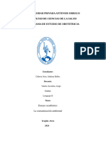 Copia de Contaminacion Ambiental-Chavez Soto, Sabrina-Ensayo de Redacción1