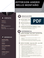 Curriculum CVMarketing Profesional Gris Oscuro