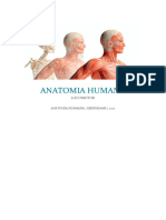 Anatomia Humana: Locomotor