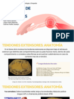 Patologías de Tendones Extensores de Mano y Muñeca PDF