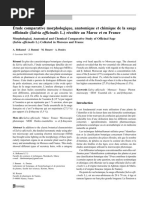 Etude Comparative Morphologique Anatomique Et Chimique de La Sauge Officinale Salvia Officinalis L. Recoltee Au Maroc