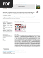 Chemically Modified Sugarcane Bagasse, FeCl3 NaBH4 Modified