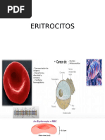 ERITROCITOS