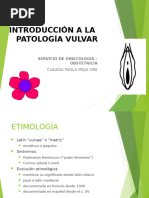 Exposicion de Patologia Vulvar