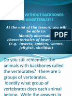 Animals Without Backbones