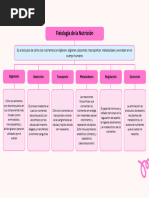 Grafico Mapa Conceptual Esquema Creativo Multicolor