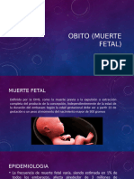 Obito (Muerte Fetal)