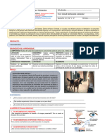 ACT 1 - SES 1 Cómo Nuestro Sistema Nervioso Responde A Los Estímulos Externos