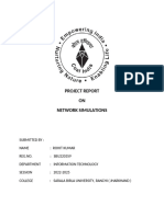 Network Simulations