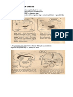 Genital Embryology