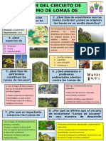 Boletin de Lomas de Lucumo