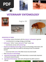 Lecture 7 - Introduction To Entomology + Anthropoda