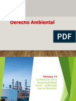 14-Semana 14 - Derecho Ambiental