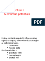 Revision Membrane Potential