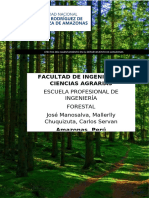 Monografia Del Departamento de Amazonas