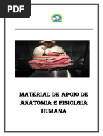 ANATOMIA HUMANA 11º DE E.G Xi - 101210