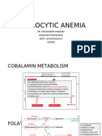 MACROCYTIC ANEMIA Old