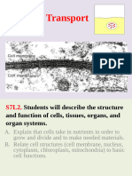 Cell Transport Powerpoint