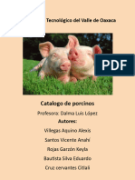 Catalogodecerdos 200124212511