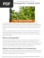 How To Grow Ashwagandha - Complete Guide